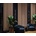AGT Flooring MDF Панел LB 3783 248 Teak - 12 х 158 х 2800 мм