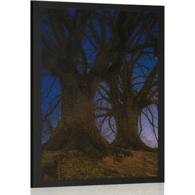 Plakát stromy v noční krajině - 60x90 no frame