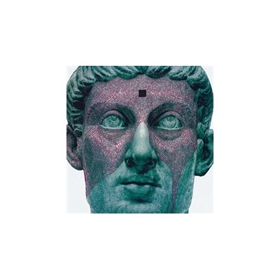 The Agent Intellect - Protomartyr LP