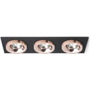 Rendl R13264