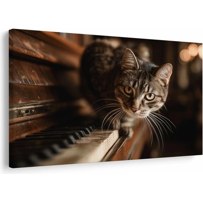 Obraz kočka na klavíru - 30x20