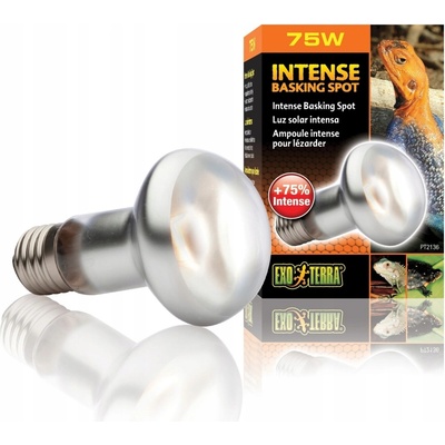 Hagen ExoTerra Day Glo Tight Beam 75 W – Sleviste.cz