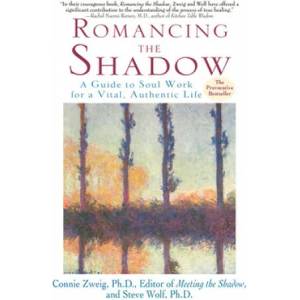 Romancing the Shadow | Connie Zweig, Steve Wolf (ISBN: 9780345417404)
