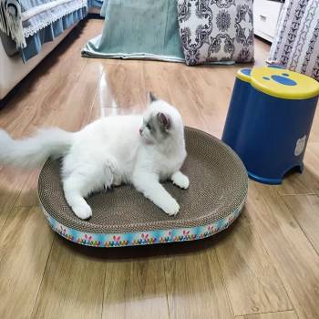 Image 1 of Tiger`s Heart Котешко гнездо драскалка от гофрирана хартия