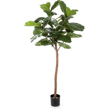 Luxusní umělý strom FICUS LYRATA JEDEN KMEN, 170 cm