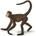 Safari Ltd Safari® Настурция (S291629)