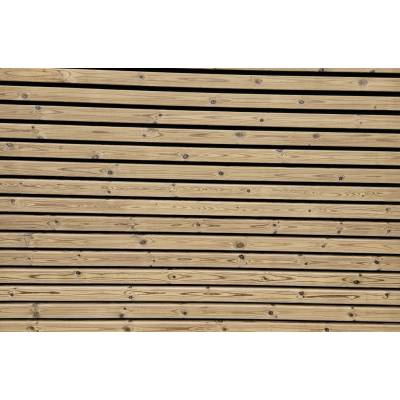 Thermo borovice Raute 28x68x4200
