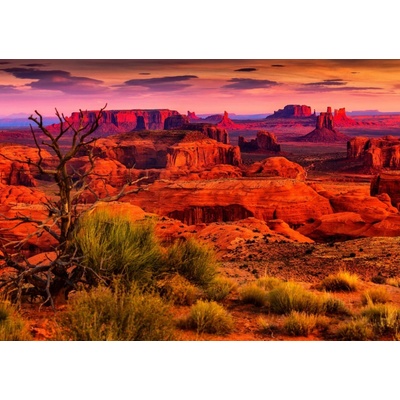 Bluebird Monument Valley 1500 dielov