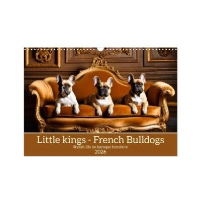 Little kings French Bulldogs Wall DIN A3 landscape, CALVENDO 12 Month Wall 2026