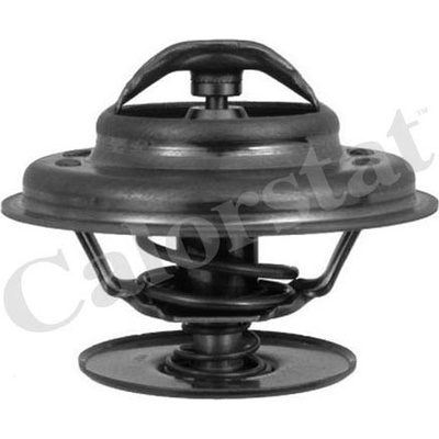 Termostat, chladivo CALORSTAT BY VERNET TH1513.83J