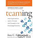 Learning Challenge Edmondson Amy C.