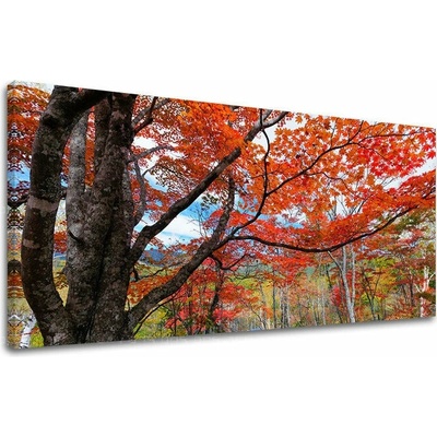 Obraz na stenu PANORÁMA STROMY - 40x80 cm
