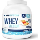 All Nutrition Whey Delicious Protein 2270 g