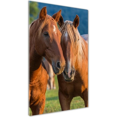 Vertikálny foto obraz fotografie na skle Kone 50x100 cm