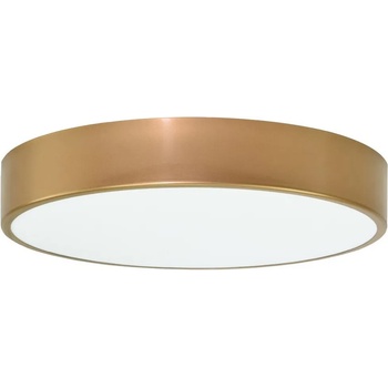 Image 1 of Temar CLEO TM0065