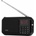 Etam Radio Eta Portable Radio GoGen - FMP125BTB