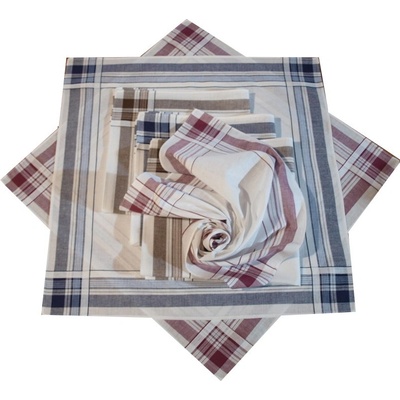 Etex Látkové kapesníky 6ks nový typ