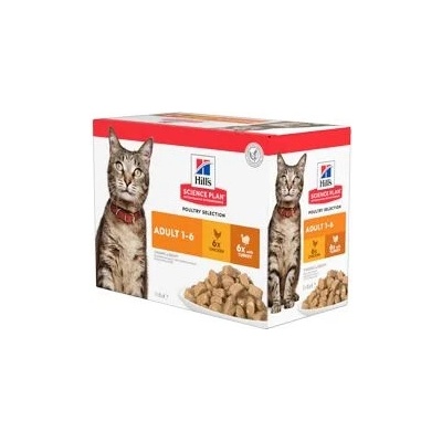 Hill's Fel. kapsa Adult Chicken&Turkey 24x85 g