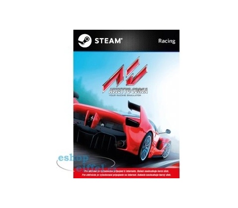 Assetto Corsa