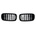 Carmart Решетки за bmw x5 f15 / x6 f16 (2013+) - двойни
