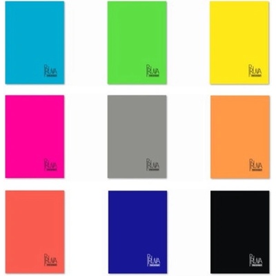 Тетрадка Pruva А4 120 л. картон к. Сп. Ред офсет (1120557-1007001100055)