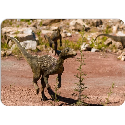 PokojovaDekorace.cz prostírání 043 Dinosaurus 43x30cm