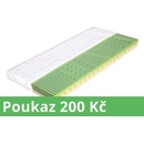 Dřevočal SVATAVA