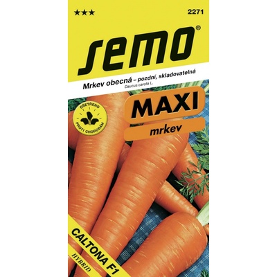 Semo Mrkev obecná pozdní