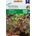 Agrosel Бейби салата Лоло Роса - микро растение
