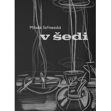 V šedi - Milada Střítezská