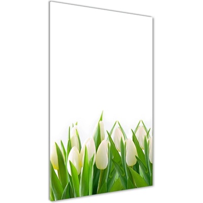 Vertikálny foto obraz sklenený Biele tulipány 50x100 cm