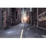 DIMEX ART Флизелинов фототапет стара алея 375 x 250 см