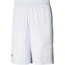 Puma Basket shorts