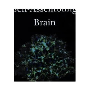 Self-Assembling Brain | Peter Robin Hiesinger (ISBN: 9780691181226)