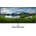 Dell P3424WE