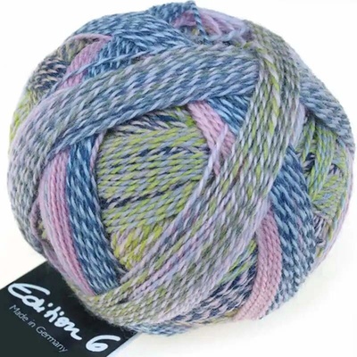 Schoppel Wolle Edition 6 2301 Taupunkt