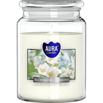 BISPOL Jasmine 500 g