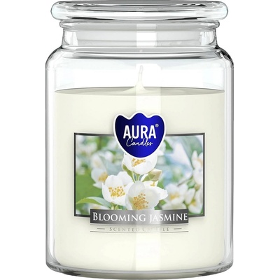 BISPOL Jasmine 500 g