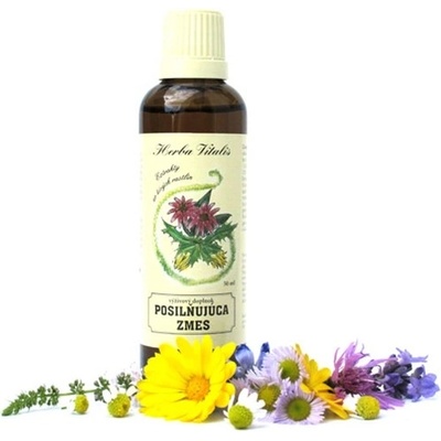 Herba Vitalis Tinktúra zo živých rastlín Posilňujúca zmes 50 ml
