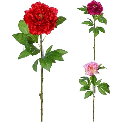 AKCIA!!KS PIVÓNIA 3F 70cm