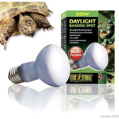Hagen Exo Terra Sun Glo Neodymium 50 W
