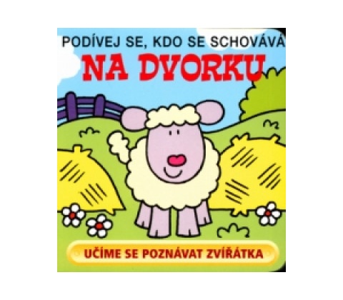 Na dvorku