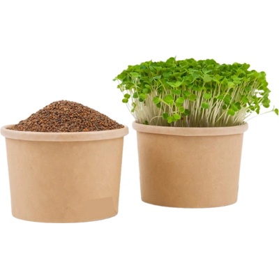 TINY GREENS Rukola - BIO semienka na klíčenie a microgreens balenie 50 g