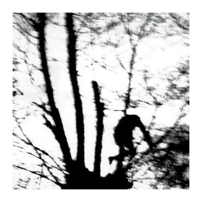 Cindytalk: Camouflage Heart LP