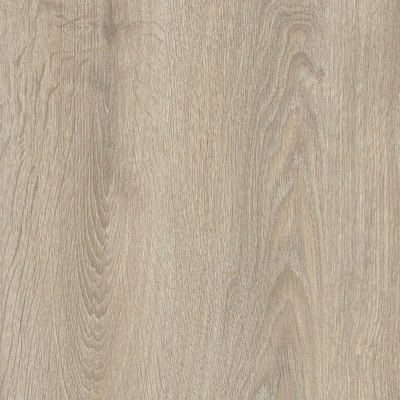 IVC Logitex Ultimate 55 Elias T47 4 m 1 m²