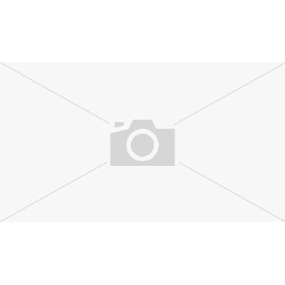 VetExpert VD cat Diabetic 100 g