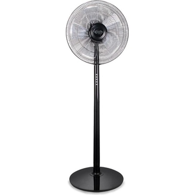 Argo 398200033