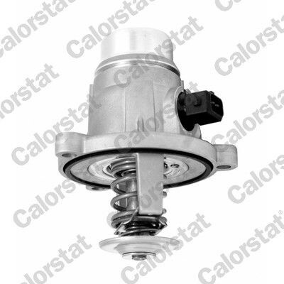 Termostat, chladivo CALORSTAT by Vernet TE7331.105J (TE7331105J)