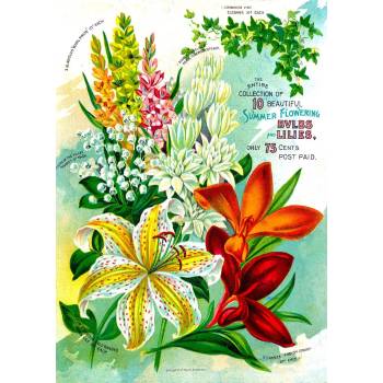 Enjoy - Puzzle Vintage Flower Catalog Art - 1 000 piese