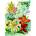Enjoy - Puzzle Vintage Flower Catalog Art - 1 000 piese